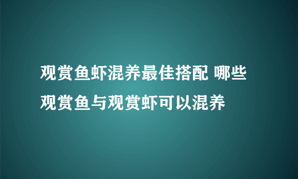 观赏鱼虾混养最佳搭配 哪些观赏鱼与观赏虾可以混养