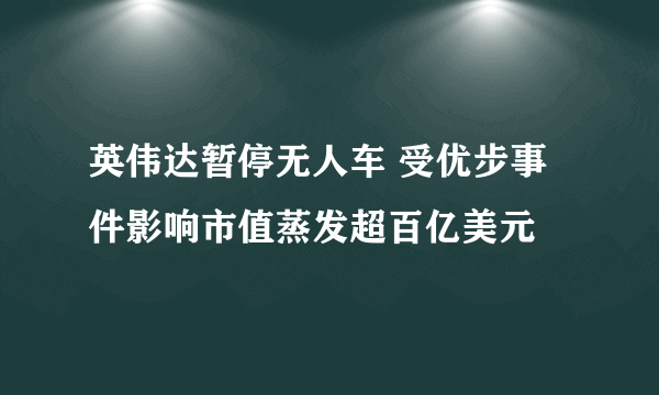 英伟达暂停无人车 受优步事件影响市值蒸发超百亿美元