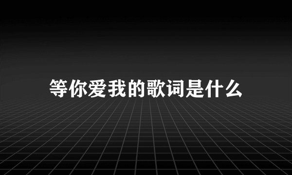 等你爱我的歌词是什么