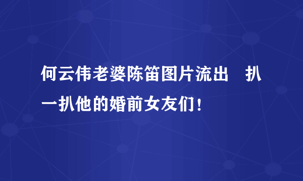 何云伟老婆陈笛图片流出   扒一扒他的婚前女友们！