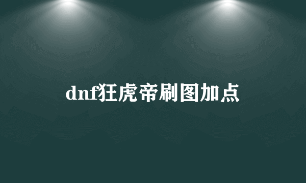 dnf狂虎帝刷图加点