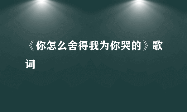 《你怎么舍得我为你哭的》歌词