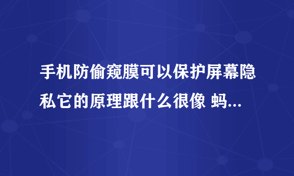 手机防偷窥膜可以保护屏幕隐私它的原理跟什么很像 蚂蚁庄园今日答案7月12日