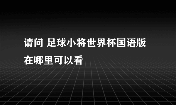 请问 足球小将世界杯国语版 在哪里可以看