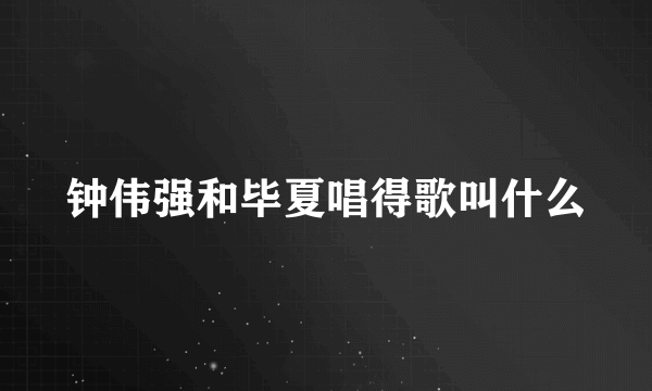 钟伟强和毕夏唱得歌叫什么