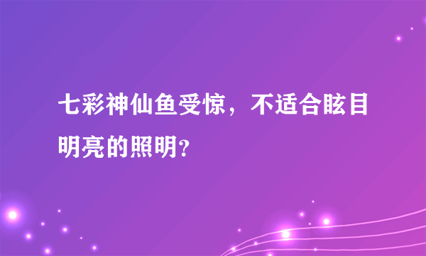 七彩神仙鱼受惊，不适合眩目明亮的照明？