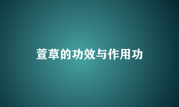 萱草的功效与作用功