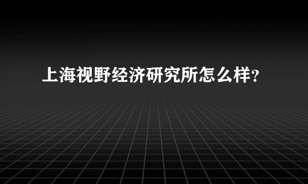 上海视野经济研究所怎么样？