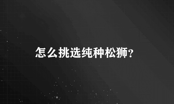 怎么挑选纯种松狮？