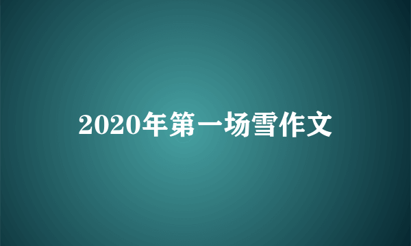 2020年第一场雪作文