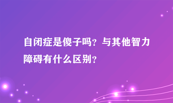 自闭症是傻子吗？与其他智力障碍有什么区别？