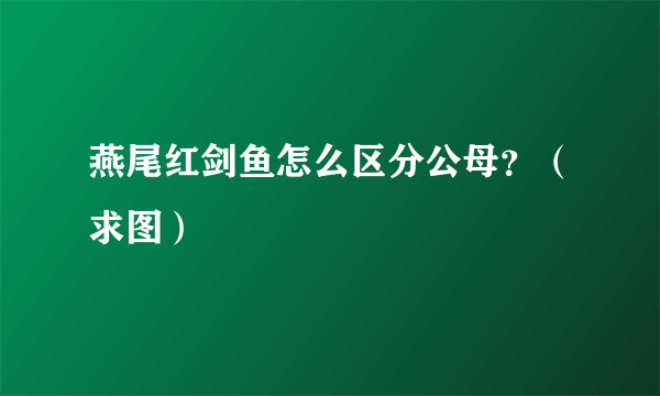 燕尾红剑鱼怎么区分公母？（求图）