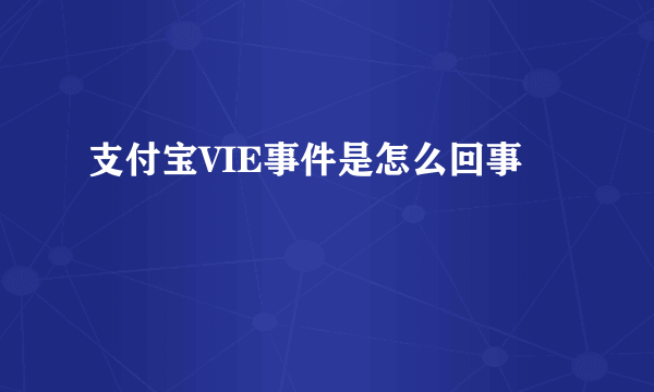 支付宝VIE事件是怎么回事