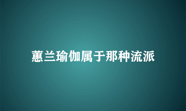 蕙兰瑜伽属于那种流派