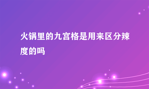 火锅里的九宫格是用来区分辣度的吗