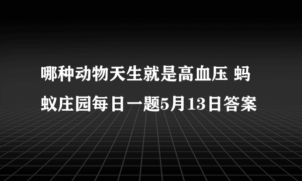 哪种动物天生就是高血压 蚂蚁庄园每日一题5月13日答案