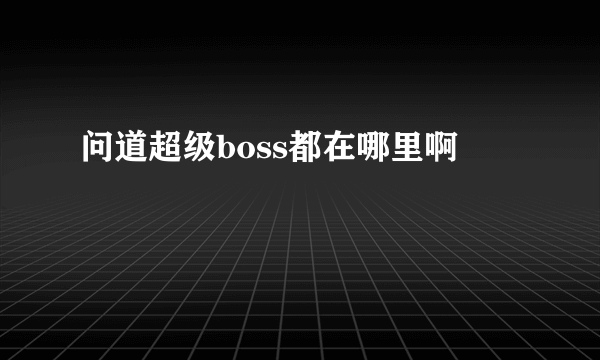 问道超级boss都在哪里啊