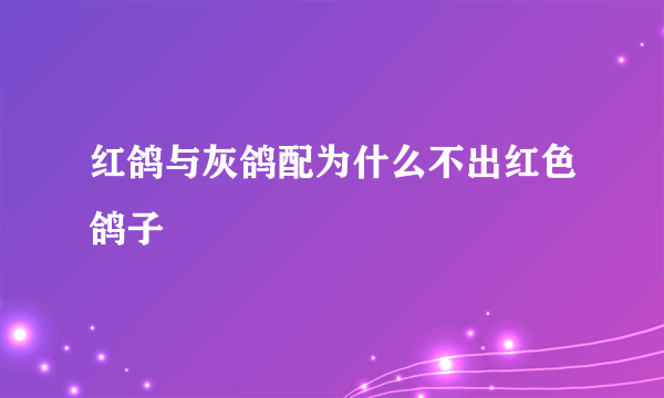 红鸽与灰鸽配为什么不出红色鸽子