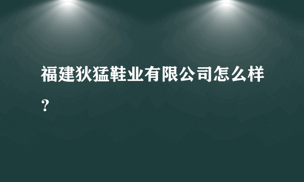 福建狄猛鞋业有限公司怎么样？