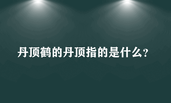 丹顶鹤的丹顶指的是什么？