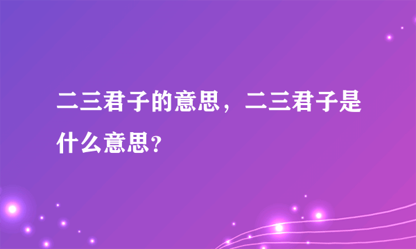 二三君子的意思，二三君子是什么意思？