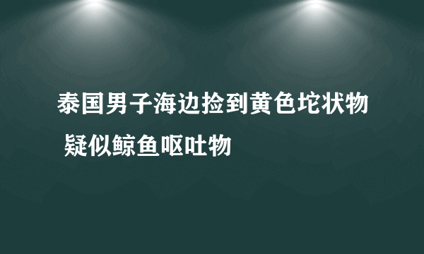 泰国男子海边捡到黄色坨状物 疑似鲸鱼呕吐物