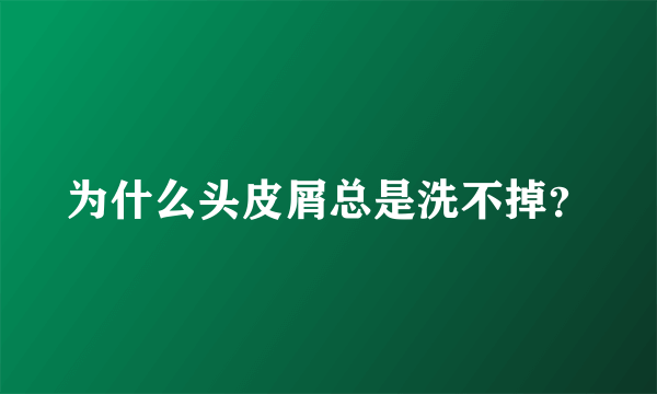 为什么头皮屑总是洗不掉？