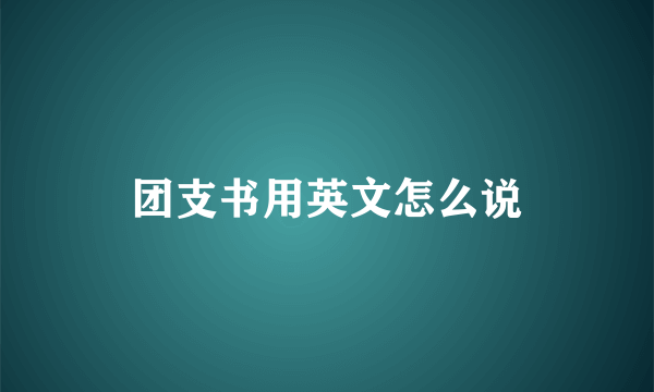 团支书用英文怎么说