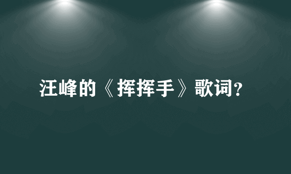 汪峰的《挥挥手》歌词？