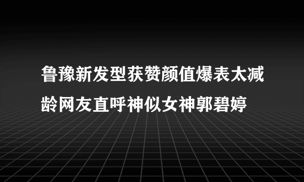 鲁豫新发型获赞颜值爆表太减龄网友直呼神似女神郭碧婷