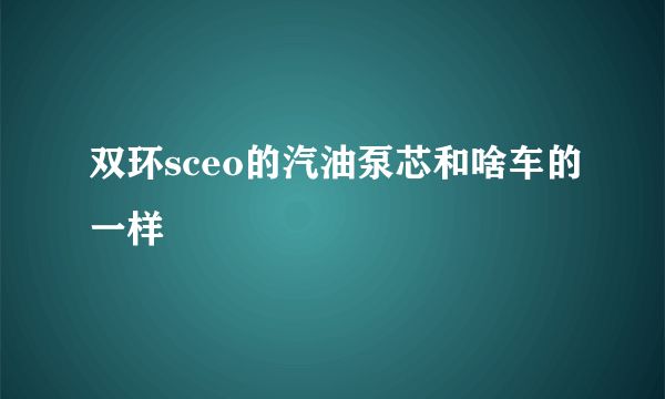 双环sceo的汽油泵芯和啥车的一样