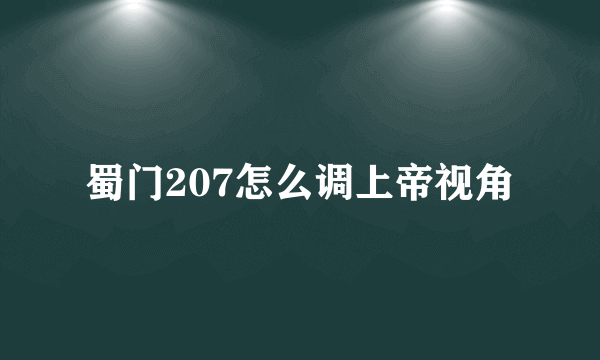 蜀门207怎么调上帝视角