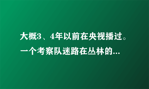 大概3、4年以前在央视播过。一个考察队迷路在丛林的电视剧。叫什么名字？