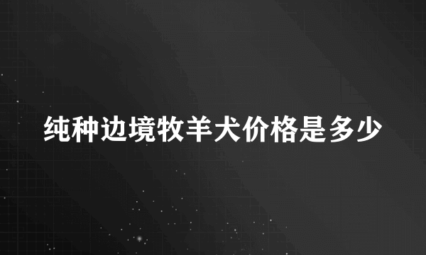 纯种边境牧羊犬价格是多少