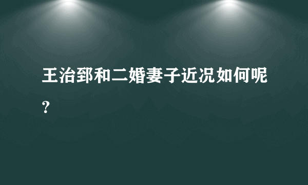 王治郅和二婚妻子近况如何呢？