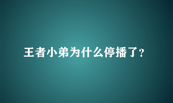 王者小弟为什么停播了？