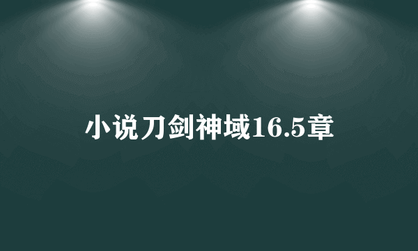 小说刀剑神域16.5章