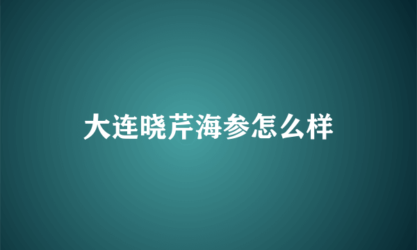 大连晓芹海参怎么样