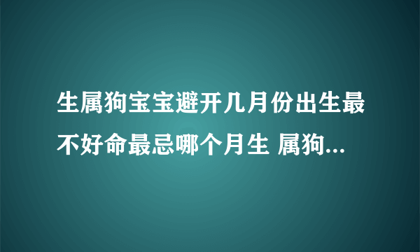 生属狗宝宝避开几月份出生最不好命最忌哪个月生 属狗的几月出生最不好犯月