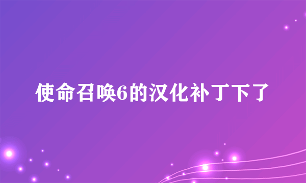 使命召唤6的汉化补丁下了