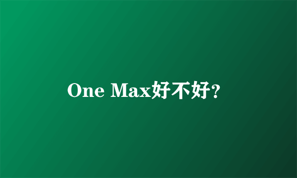 One Max好不好？