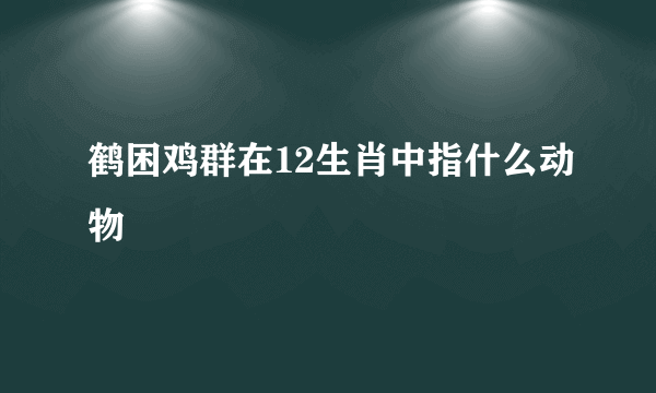 鹤困鸡群在12生肖中指什么动物