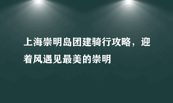 上海崇明岛团建骑行攻略，迎着风遇见最美的崇明