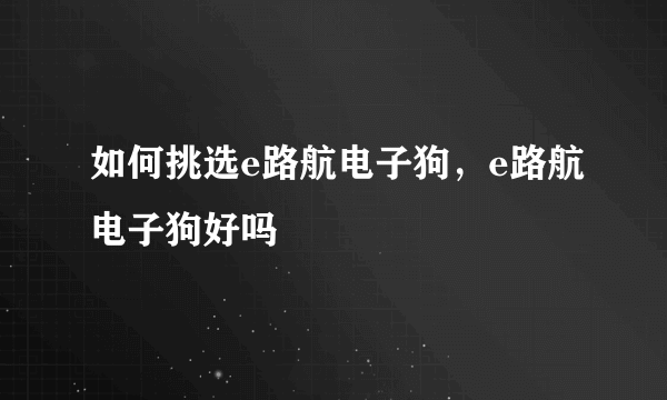 如何挑选e路航电子狗，e路航电子狗好吗