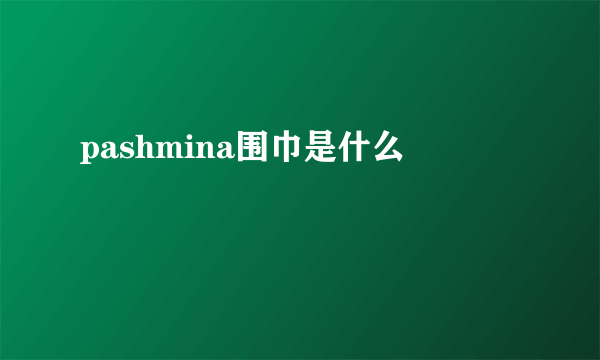 pashmina围巾是什么