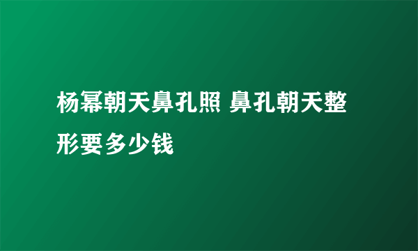 杨幂朝天鼻孔照 鼻孔朝天整形要多少钱