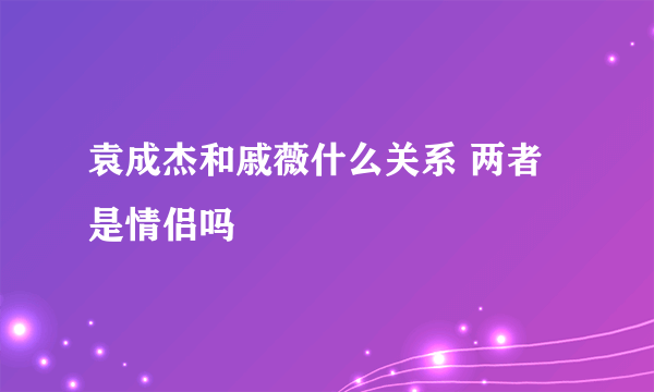 袁成杰和戚薇什么关系 两者是情侣吗