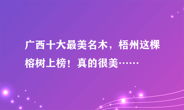 广西十大最美名木，梧州这棵榕树上榜！真的很美……