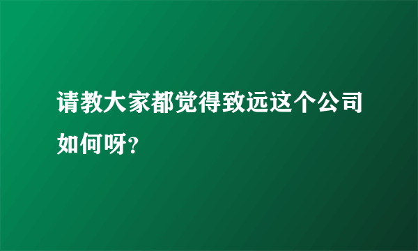 请教大家都觉得致远这个公司如何呀？