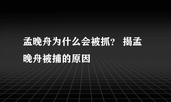 孟晚舟为什么会被抓？ 揭孟晚舟被捕的原因